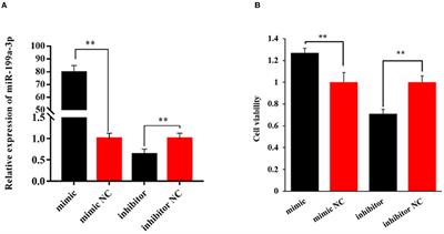 MicroRNA-199a-3p regulates proliferation and <mark class="highlighted">milk fat</mark> synthesis of ovine mammary epithelial cells by targeting VLDLR